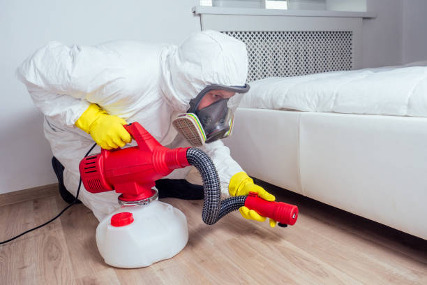 Best Rat Extermination Near Me  in Scanlon, MN