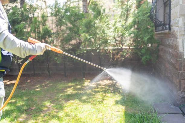 Best Pest Control Near Me in Scanlon, MN