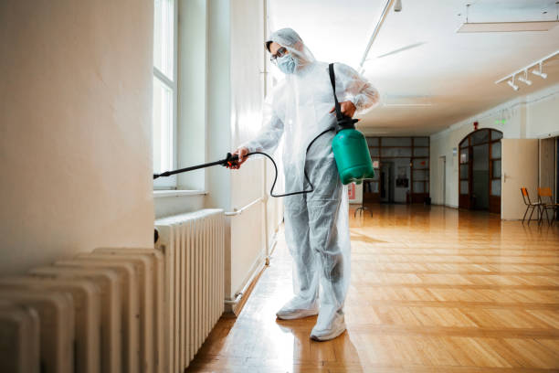 Best Pest Prevention Services  in Scanlon, MN