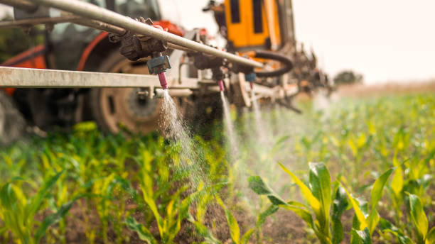 Best Pest Removal Services  in Scanlon, MN